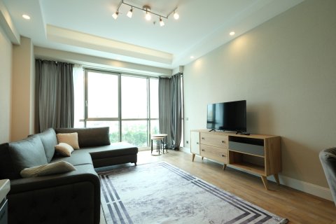 1+1 Wohnung  in Antalya, Türkei Nr. 211780 - 10