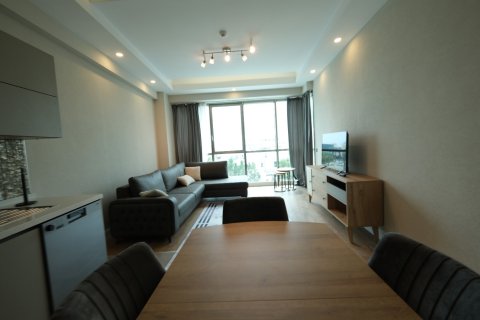 1+1 Wohnung  in Antalya, Türkei Nr. 211780 - 14