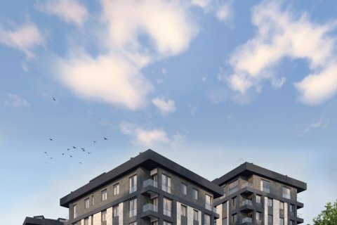 2+1 Lägenhet  i Istanbul, istanbul, Turkiet Nr. 224741 - 3