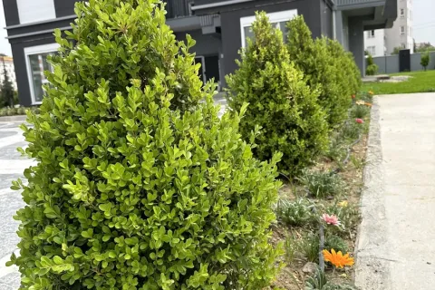 3+1 Lejlighed i Kepez, Canakkale, Tyrkiet Nr. 220318 - 28