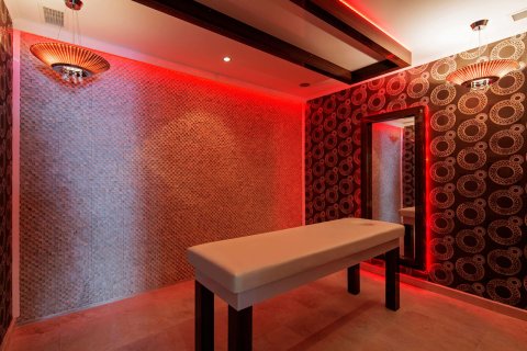 2+1 Wohnung  in Alanya, Antalya, Türkei Nr. 221900 - 13