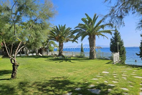 2+1 Villa  i Bodrum, Mugla, Tyrkia Nr. 223194 - 19
