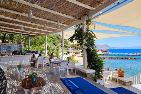 2+1 Villa  i Bodrum, Mugla, Tyrkia Nr. 223194 - 4