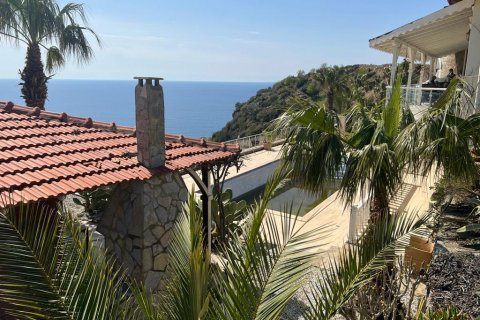 5+1 Villa  i Gazipasa, Antalya, Tyrkia Nr. 217770 - 13