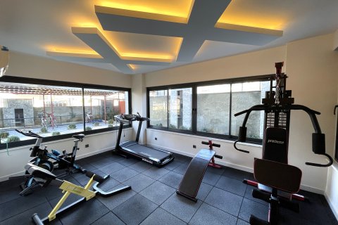 Daire  1+1  Kestel, Antalya, Türkiye №218308 - 12