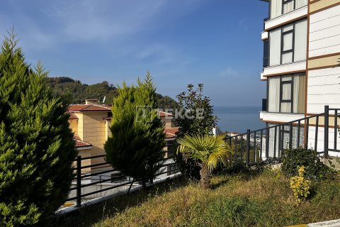 3+1 Lägenhet  i Araklı, Trabzon, Turkiet Nr. 226791