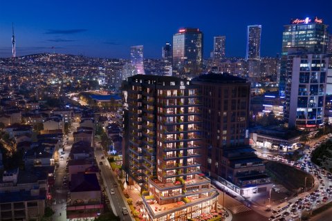 2+1 Leilighet i Istanbul, Tyrkia Nr. 228960 - 6
