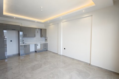 1+1 Wohnung  in Alanya, Antalya, Türkei Nr. 228963 - 4