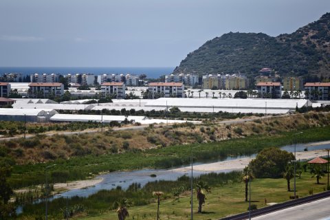 1+1 Wohnung  in Alanya, Antalya, Türkei Nr. 228963 - 14