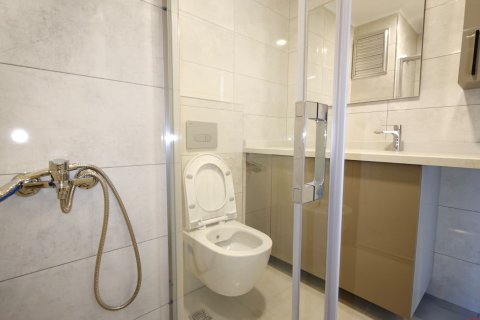 1+1 Wohnung  in Alanya, Antalya, Türkei Nr. 228963 - 9