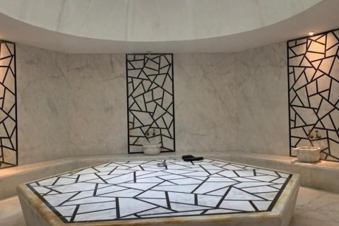 4+1 Leilighet i Kestel, Antalya, Tyrkia Nr. 237404 - 7