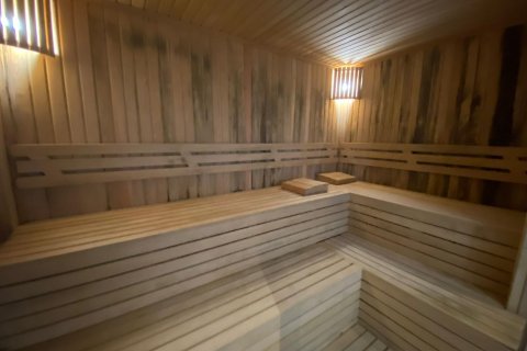 1+1 Wohnung  in Kestel, Antalya, Türkei Nr. 218479 - 15