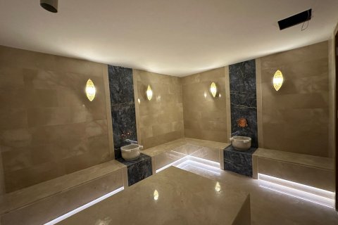 1+1 Wohnung  in Kestel, Antalya, Türkei Nr. 218479 - 14