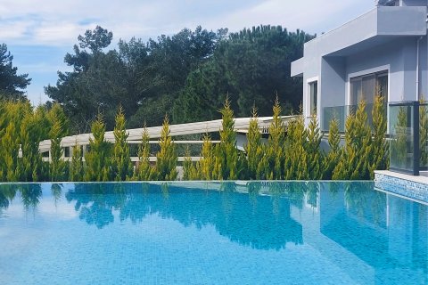 Продажа виллы  в Олюдениза, Мугле, Турция 4+1, 400м2, №213079 – фото 5