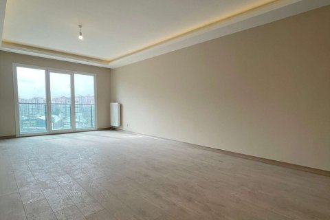 2+1 Lägenhet i Istanbul, istanbul, Turkiet Nr. 233881 - 8