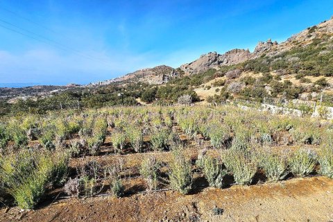 3+1 Villa in Bodrum, Mugla, Türkei Nr. 214979 - 2