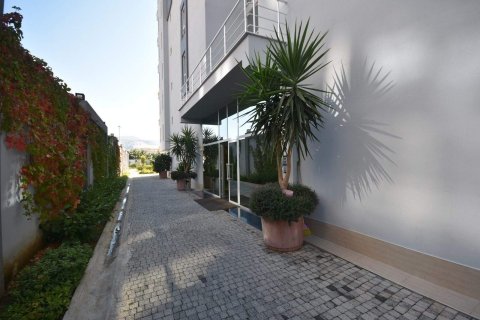 Продажа квартиры  в Махмутларе, Анталье, Турция 1+1, 50м2, №232559 – фото 12