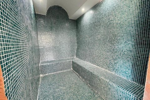 Daire  1+1  Alanya, Antalya, Türkiye №228367 - 5