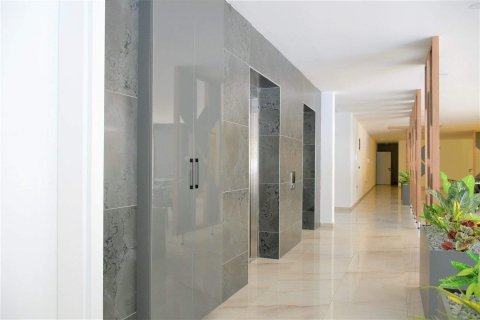 2+1 Penthäuser  in Avsallar, Antalya, Türkei Nr. 229043 - 16