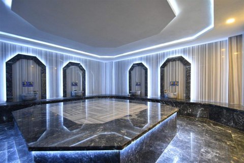 2+1 Penthäuser  in Avsallar, Antalya, Türkei Nr. 229043 - 27