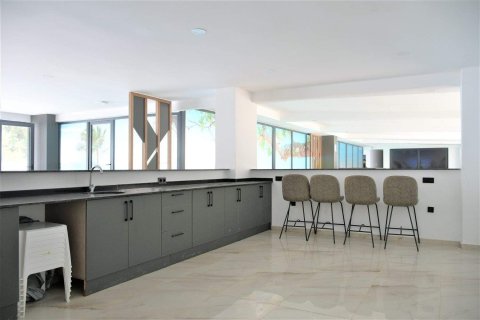 2+1 Penthäuser  in Avsallar, Antalya, Türkei Nr. 229043 - 14