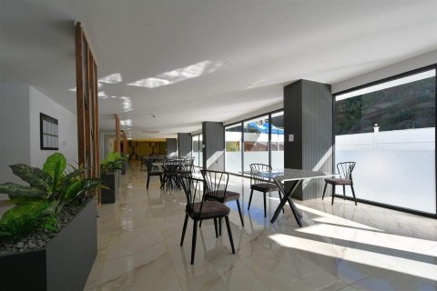 2+1 Penthäuser  in Avsallar, Antalya, Türkei Nr. 229043 - 17