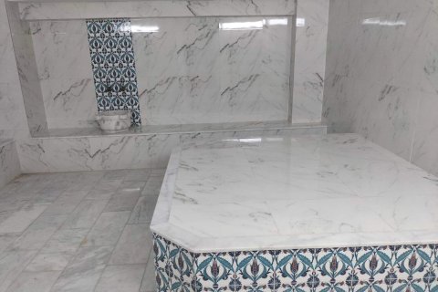 1+1 Lägenhet i Alanya, Antalya, Turkiet Nr. 229044 - 21