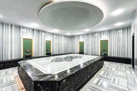 1+1 Wohnung in Avsallar, Antalya, Türkei Nr. 229045 - 28