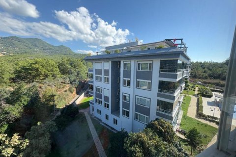 Продажа квартиры  в Оба, Анталье, Турция 3 комн., 80м2, №221355 – фото 23