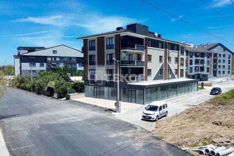 Gewerbeimmobilien  in Ciftlikkoey, Yalova, Türkei Nr. 226619