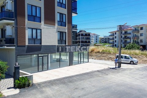 Gewerbeimmobilien in Ciftlikkoey, Yalova, Türkei Nr. 226619 - 5