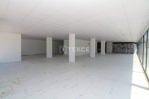 Gewerbeimmobilien in Ciftlikkoey, Yalova, Türkei Nr. 226619 - 7