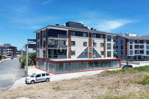 Gewerbeimmobilien in Ciftlikkoey, Yalova, Türkei Nr. 226619 - 3