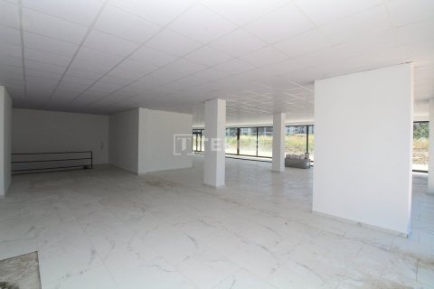 Gewerbeimmobilien in Ciftlikkoey, Yalova, Türkei Nr. 226619 - 11