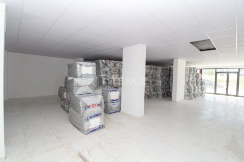 Gewerbeimmobilien in Ciftlikkoey, Yalova, Türkei Nr. 226619 - 10