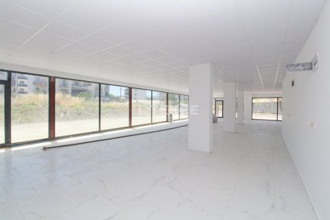 Gewerbeimmobilien in Ciftlikkoey, Yalova, Türkei Nr. 226619 - 9