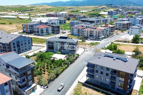 Gewerbeimmobilien in Ciftlikkoey, Yalova, Türkei Nr. 226619 - 4
