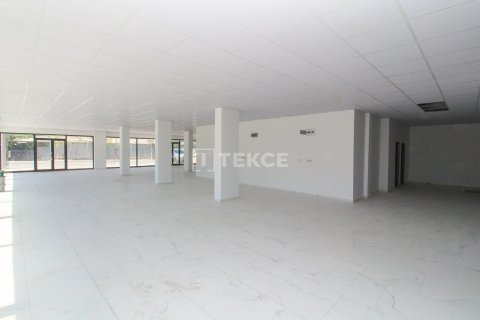 Gewerbeimmobilien in Ciftlikkoey, Yalova, Türkei Nr. 226619 - 8