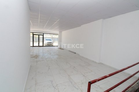 Gewerbeimmobilien in Ciftlikkoey, Yalova, Türkei Nr. 226619 - 12