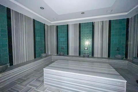 Продажа квартиры  в Кестеле, Анталье, Турция 2 комн., 55м2, №224577 – фото 13