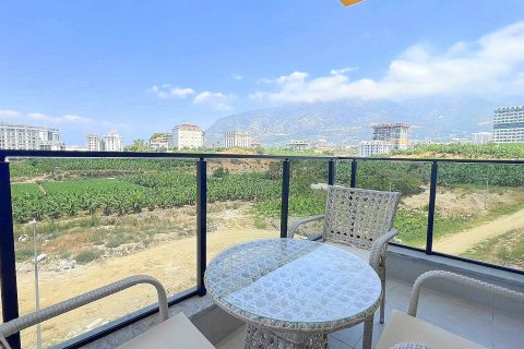 1+0 Lägenhet i Mahmutlar, Antalya, Turkiet Nr. 228884 - 14