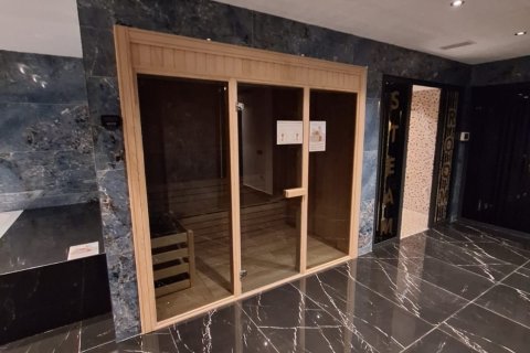 1+0 Wohnung in Alanya, Antalya, Türkei Nr. 225083 - 15