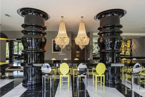 5+1 Wohnung  in Besiktas, Istanbul, Türkei Nr. 215534 - 12