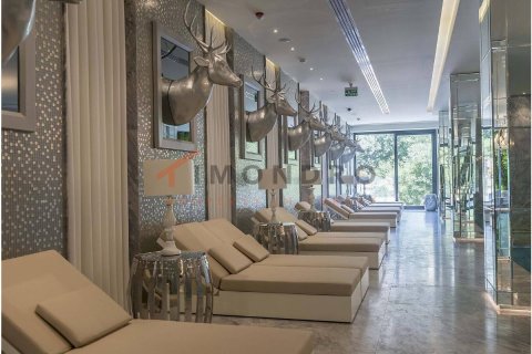 5+1 Wohnung  in Besiktas, Istanbul, Türkei Nr. 215534 - 14