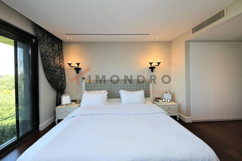 5+1 Wohnung  in Besiktas, Istanbul, Türkei Nr. 215534 - 9