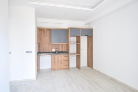 1+0 Lägenhet  i Mahmutlar, Antalya, Turkiet Nr. 227815 - 3