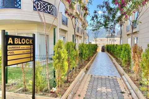 1+1 Leilighet  i Oba, Antalya, Tyrkia Nr. 229185 - 9