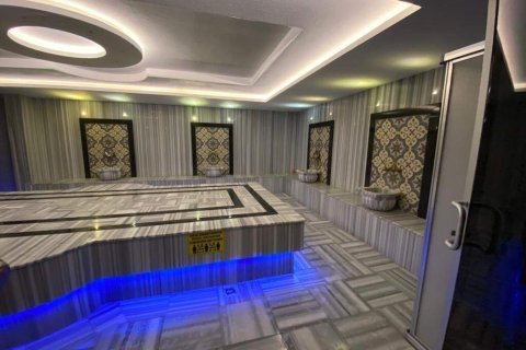 2+1 Lejlighed  i Alanya, Antalya, Tyrkiet Nr. 229184 - 15