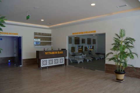 2+1 Leilighet  i Kestel, Bursa, Tyrkia Nr. 217749 - 22