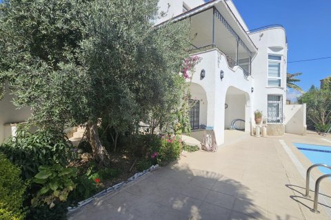 4+2 Villa  i Mahmutlar, Antalya, Tyrkia Nr. 217786 - 14